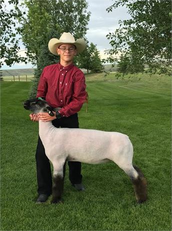 Marshall Byrnes of Eden Livestock 4-H Club
