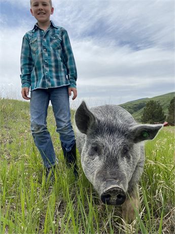 Bo Thomas Ratliff of Tiger-Butte 4-H Club