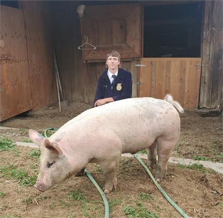 Caleb Bailey of Joliet FFA
