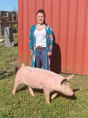 Delaney Bauwens of Joliet FFA Chapter