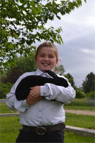 Keira Birrer of Foxie 4H