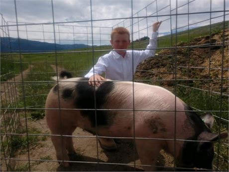 Ireland Ramey of Rock Creek Ranchers