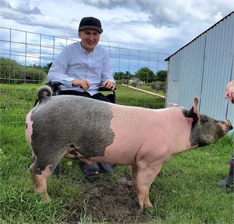 Wyatt Roascio of Red Lodge FFA