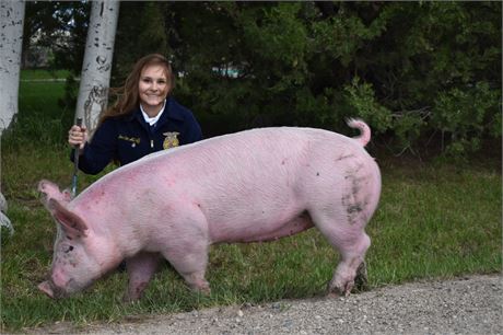 Jordan Althoff of Clark's Fork FFA