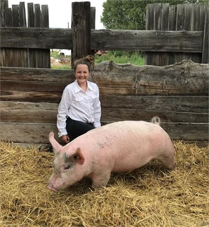 MiKayla Stringari of Foxie 4-H