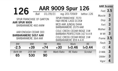 AAR Spur 126