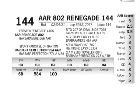 AAR Renegade 144