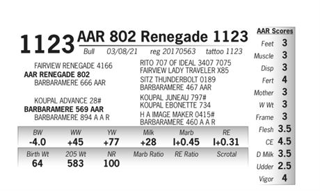 AAR Renegade 1123