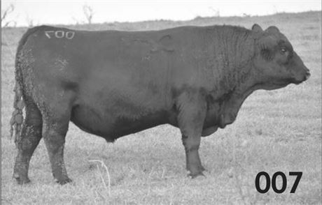 AAR Real McCoy 007 - PROVEN
