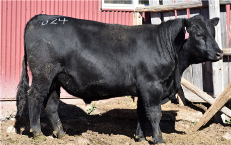 AAR Cattlemaster 1024