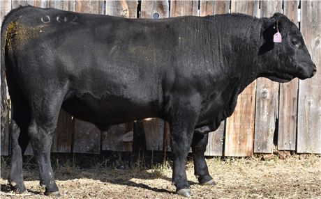 AAR Cattlemaster 1002