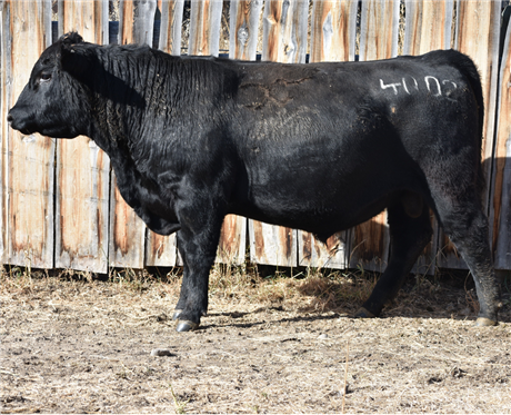 AAR 214 Black Eagle 4002