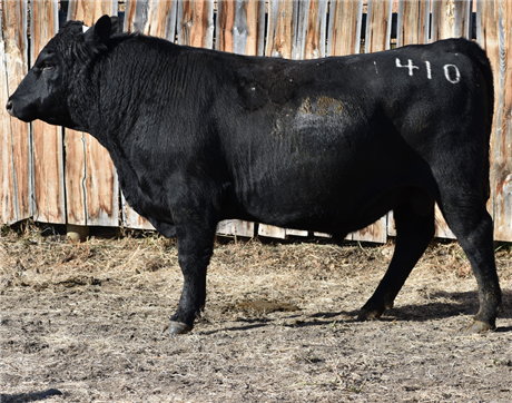 AAR 802 Renegade 410