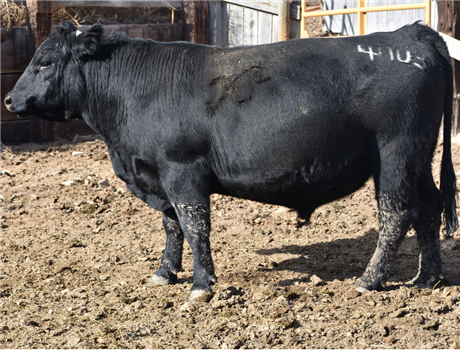 AAR 248 Rainmaker 4003