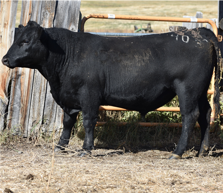 AAR 912 Renegade 4030